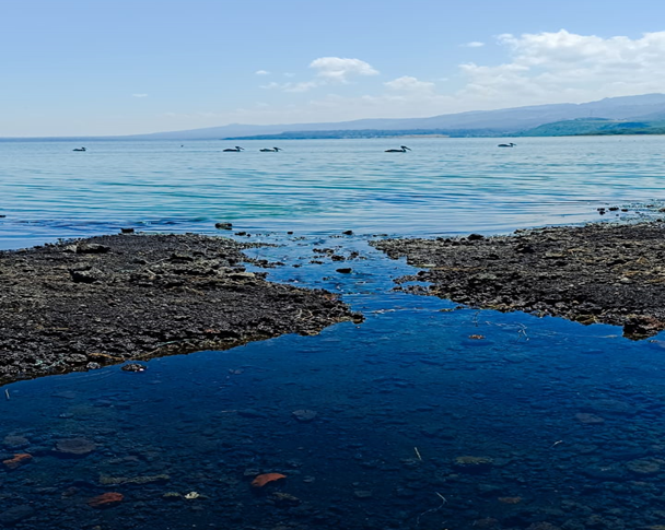 You are currently viewing A Wellness Retreat at Lake Elementaita